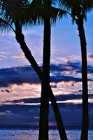 Palms, Maui, HI