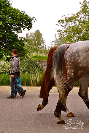 Vondelpark, Amsterdam, Netherlands