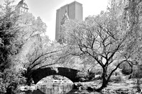 Central Park, Manhattan, NY