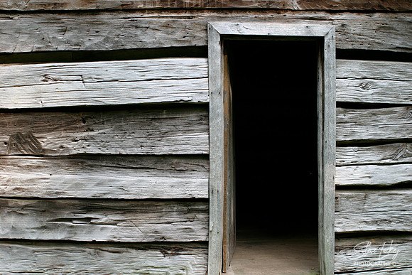 Slave cabin, South Carolina