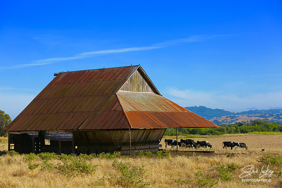 Marin County, CA