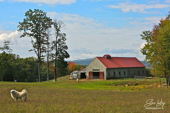 Drury, NH