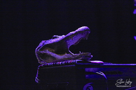 Tab Benoit's alligator head