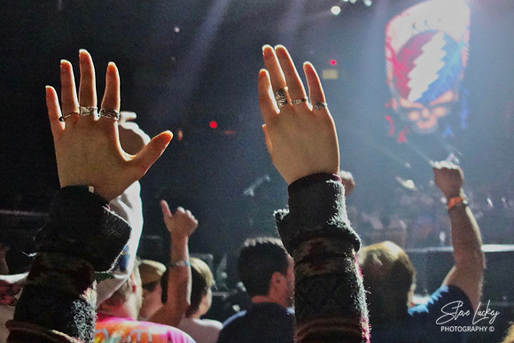 Dead & Company audience
