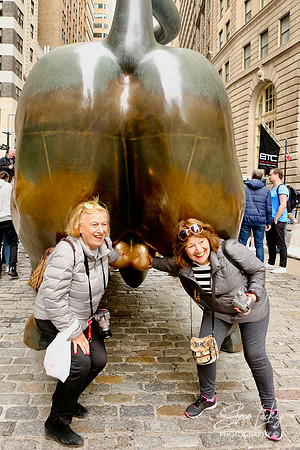 Wall Street Bull, Manhattan, NY