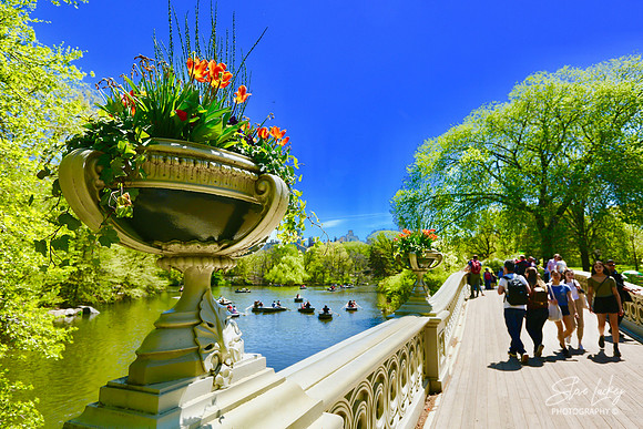 Central Park Bow Bridge