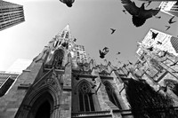 St Patrick's Cathedral, Manhattan, NY