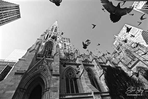 St Patrick's Cathedral, Manhattan, NY