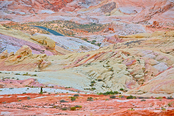 Valley of Fire, NV