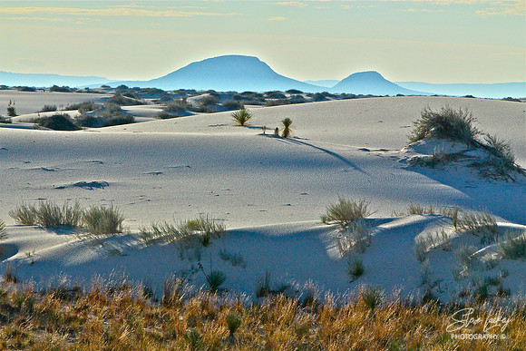White Sands Desert, NM