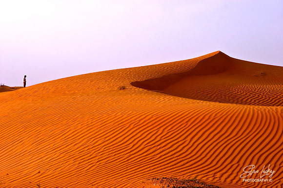 Sharjah Desert, United Arab Emirates