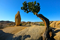 Joshua Tree National Park, CA