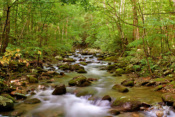 Gatlinburg, TN