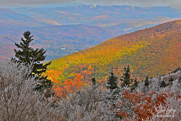 Mount Greylock, MA