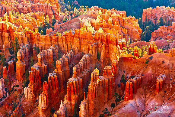 Bryce Canyon, UT