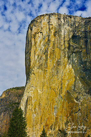 El Capitan, Yosemite Valley, CA