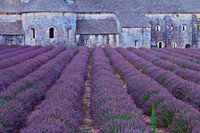 Abbaye de Senanque, Avignon, Provence, France