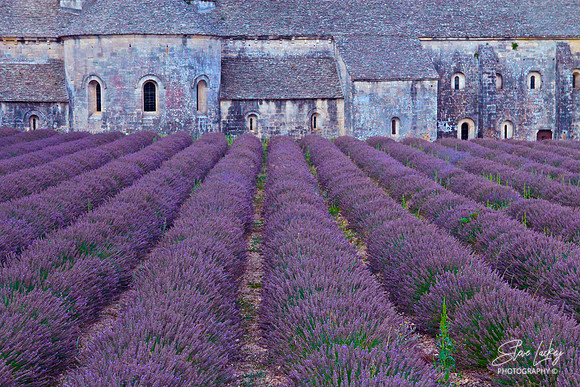 Abbaye de Senanque, Avignon, Provence, France