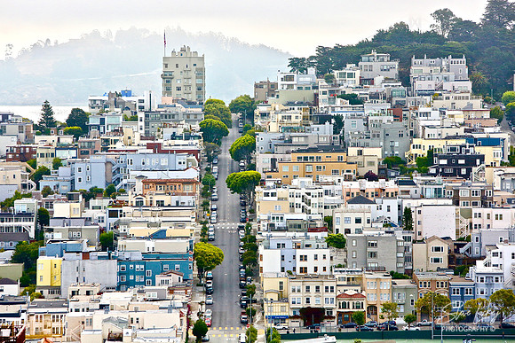 Hills of San Francisco