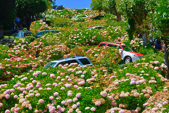Lombard Street, San Francisco, CA