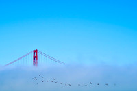 Golden Gate Bridge, San Francisco, CA