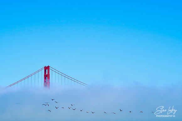 Golden Gate Bridge, San Francisco, CA