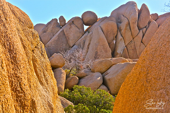Joshua Tree National Park, CA
