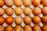 Brown eggs