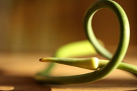Garlic scape