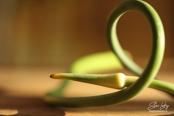 Garlic scape