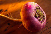 Turnip