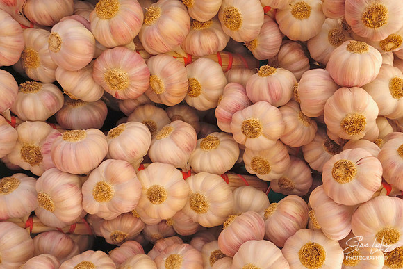Garlic