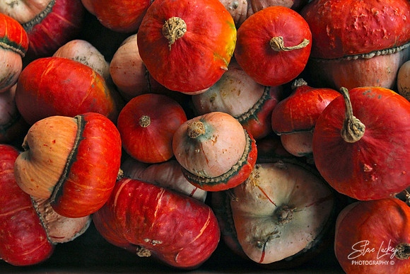 Acorns