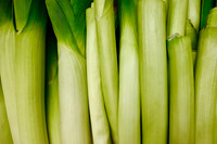 Bok choy