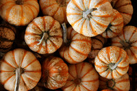 Pumpkins