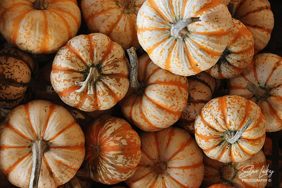 Pumpkins