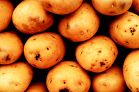 Yukon gold potatoes