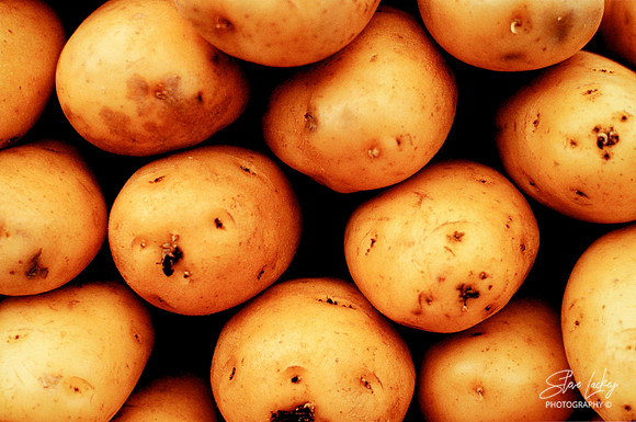 Yukon gold potatoes