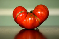 Heirloom tomato